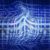 New Python Backdoor Exploits Tunneling for Credential Theft